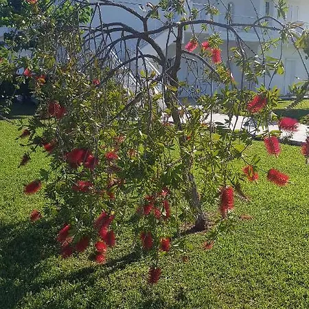 Silver Raches Maisonette &