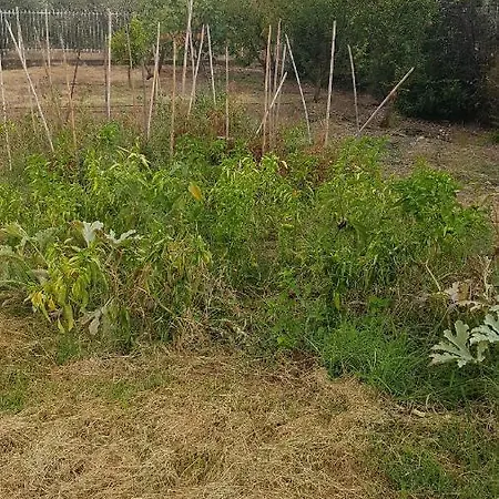 וילה Silver Raches Maisonette &