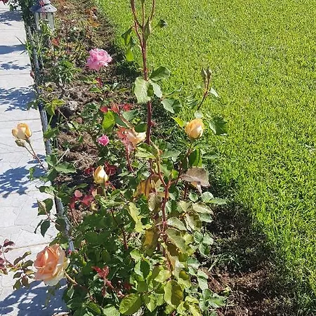 Silver Raches Maisonette & * Kouvéla