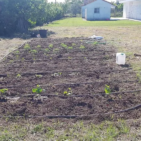 Silver Raches Maisonette & וילה *